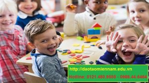 chứng chỉ quản lý trường mầm non tại bình định