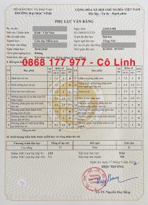 Bảng điểm tốt nghiệp ngành Sư phạm mầm non