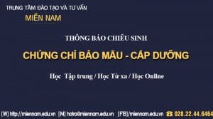 Chiêu sinh khoá học Bảo mẫu - Cấp dưỡng mầm non tại TPHCM
