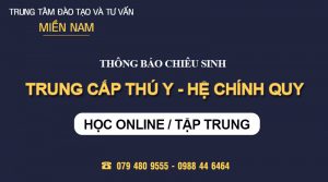 Tuyển sinh Trung cấp Thú Y - Hệ Chính quy