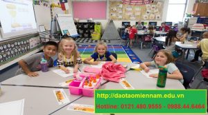 chứng chỉ quản lý mầm non