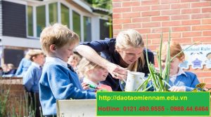 chứng chỉ bảo mẫu mầm non tại cần thơ