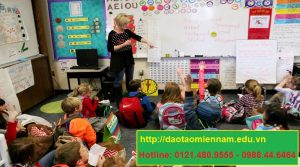 chứng chỉ quản lý trường mầm non tại đồng nai