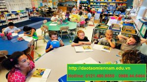 chứng chỉ hiệu trưởng trường mầm non tại gia lai