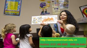 chứng chỉ quản lý trường mầm non tại sóc trăng