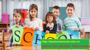 chứng chỉ quản lý trường mầm non tại vĩnh long