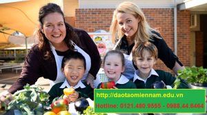 cấp dưỡng trường mầm non tại quảng ngãi