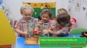 chứng chỉ hiệu trưởng trường mầm non tại an giang