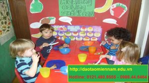 cấp dưỡng trường mầm non tại bình dương