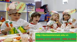 cấp dưỡng trường mầm non tại cà mau