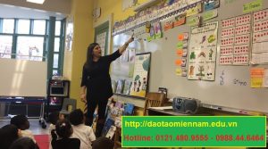 chứng chỉ hiệu trưởng trường mầm non tại bến tre