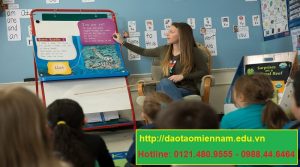 chứng chỉ hiệu trưởng trường mầm non tại bến tre