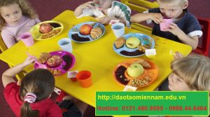 cấp dưỡng trường mầm non tại đồng tháp