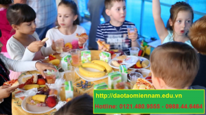 cấp dưỡng trường mầm non tại gia lai