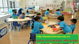 chứng chỉ hiệu trưởng trường mầm non tại long an