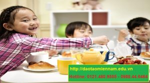 cấp dưỡng trường mầm non tại ninh thuận