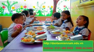 cấp dưỡng trường mầm non tại tphcm