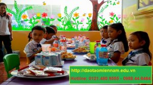 cấp dưỡng trường mầm non tại tphcm