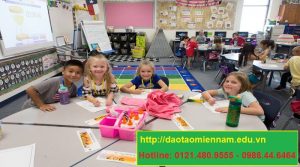 chứng chỉ hiệu trưởng trường mầm non tại tphcm