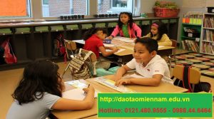 chứng chỉ hiệu trưởng trường mầm non tại trà vinh