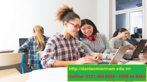 chứng chỉ tin học cơ bản tại quận 6