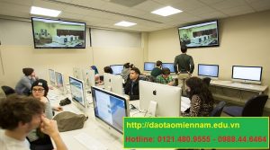 chứng chỉ tin học cơ bản tại tuy hòa