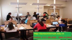 chứng chỉ tin học nâng cao tại hóc môn