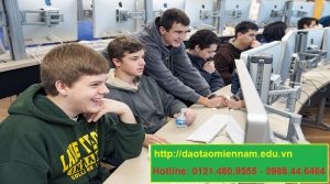 chứng chỉ tin học nâng cao tại quận 6