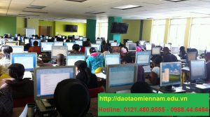 chứng chỉ tin học nâng cao tại tân bình