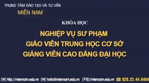 Chứng chỉ Nghiệp vụ Sư phạm giảng viên Cao đẳng Đại học