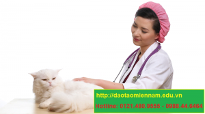 trung cấp chăn nuôi thú y tại kon tum