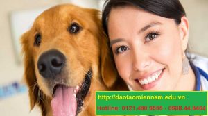 trung cấp chăn nuôi thú y tại nhà bè