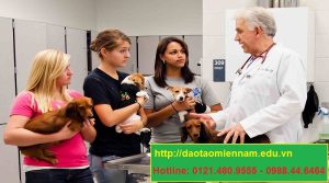 trung cấp chăn nuôi thú y tại phan rang