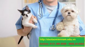 trung cap chan nuoi thu y tại phú yên