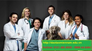 trung cấp chăn nuôi thú y tại quận 3