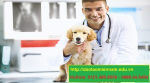 trung cấp chăn nuôi thú y tại tây sơn