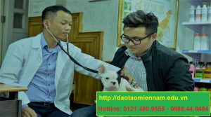 trung cấp chăn nuôi thú y tại thủ dầu một