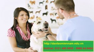 trung cấp chăn nuôi thú y tại thủ đức