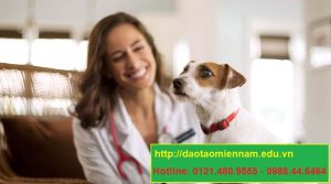 trung cấp chăn nuôi thú y tại thuận an