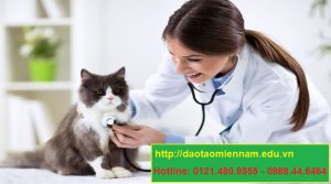 trung cấp chăn nuôi thú y tại tuy phước