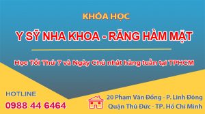 Chứng chỉ Y sỹ Nha khoa tại TPHCM
