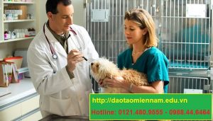 trung cấp chăn nuôi thú y tại biên hòa