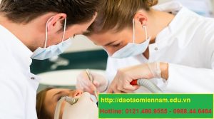 chứng chỉ y sỹ nha khoa tại bình định