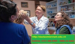 trung cấp chăn nuôi thú y tại châu đốc