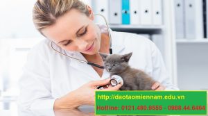 trung cấp chăn nuôi thú y tại long an