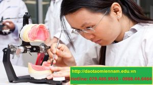 chứng chỉ y sỹ nha khoa tại nhà bè