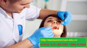 chứng chỉ y sỹ nha khoa tại tân bình