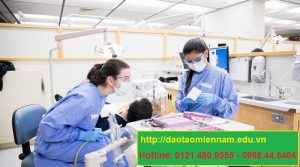 chứng chỉ y sỹ nha khoa tại tân phú