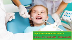 chứng chỉ y sỹ nha khoa tại thuận an