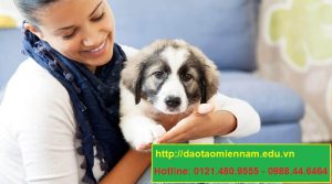 trung cấp chăn nuôi thú y tại tiền giang